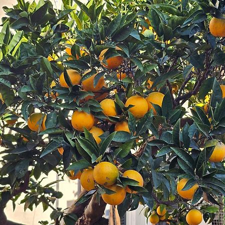 L'Arancio B&B Cecchina Εξωτερικό φωτογραφία